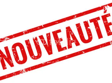 Les nouveaux formulaires de permis de construire et de déclaration préalable prochainement disponibles : que faut-il en attendre ?